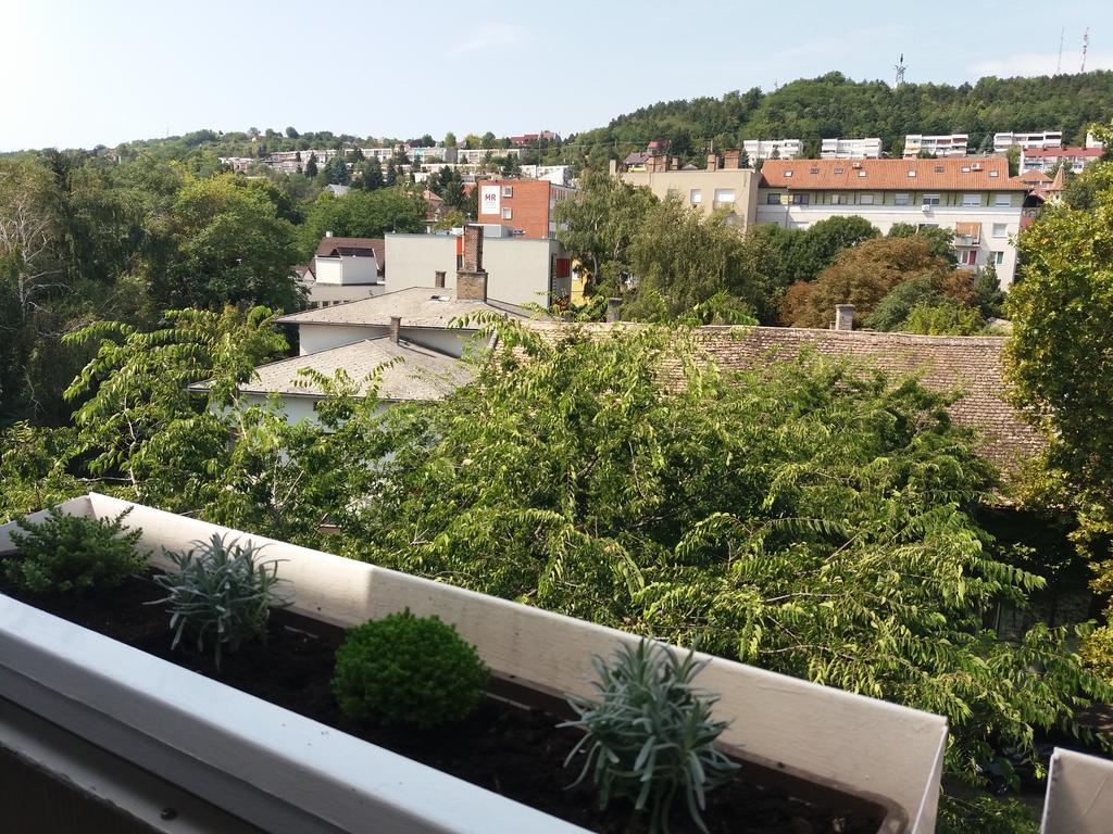 Malnas Macska Apartman Szekszárd Zewnętrze zdjęcie