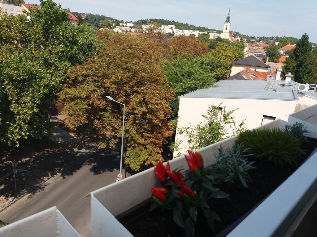 Malnas Macska Apartman Szekszárd Zewnętrze zdjęcie